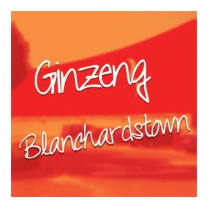 Ginzeng-Blanchardstown-Shopping-Centre